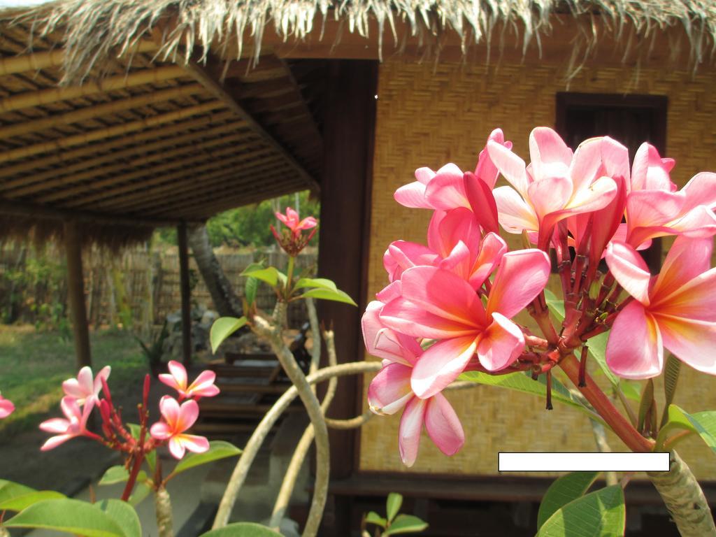 Selong Belanak Bungalows Extérieur photo